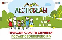Одинцовский район примет участие в ежегодной экологической акции «Лес Победы»