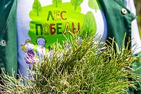 Одинцовский городской округ станет центральной площадкой областной акции «Лес Победы»