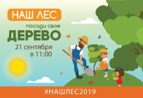Порядка 28 тысяч деревьев высадят в Одинцовском городском округе участники акции «Наш лес. Посади своё дерево 2019»