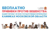Сделать прививку против бешенства можно бесплатно в любой участковой ветеринарной лечебнице Одинцовского округа