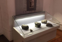 Новое экспозиционное оборудование установили в Звенигородском историко-архитектурном музее