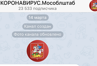 В Московской области начал работу телеграм-канал КОРОНАВИРУС. Мособлштаб