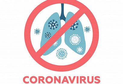 Меры профилактики заболеваемости вирусными инфекциями и коронавирусом (2019-nCoV)