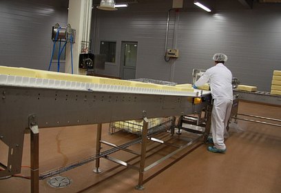 Новую линейку сыров начали выпускать в филиале «Ершово» компании «Валио» в Одинцовском округе