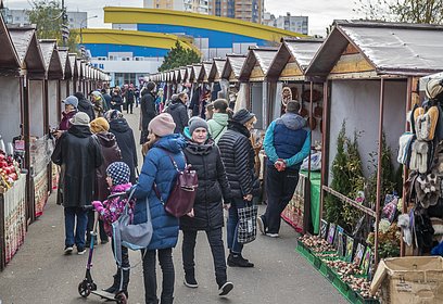 Комплекс мер, направленных на поддержку малого бизнеса, реализуется в Одинцовском округе