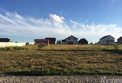 Более 20 гектар областной земли планируется передать для многодетных семей из Одинцовского округа