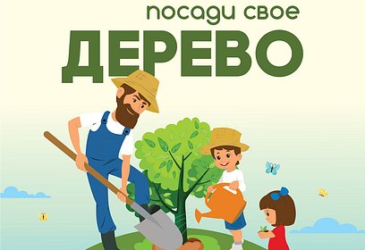 Акция «Наш лес. Посади своё дерево» пройдёт в Одинцовском городском округе