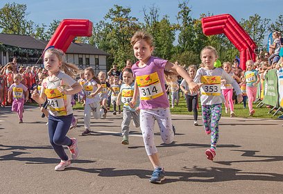 Участие в 49-м «Арбузном кроссе» в Одинцовском парке культуры, спорта и отдыха примут 700 человек