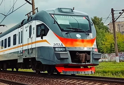 Новые электропоезда с 16 сентября запущены по маршрутам экспрессов на Белорусском направлении МЖД