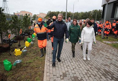 Акция «Сохраним лес» стартовала в Одинцовском округе