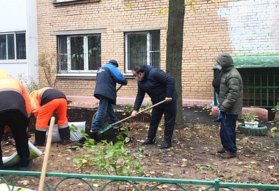 Партийцы помогли благоустроить палисадник на бульваре Любы Новосёловой в Одинцово