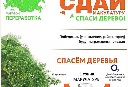 Эко-марафон  «Сдай макулатуру — спаси дерево!» пройдёт в Одинцовском округе 21 октября