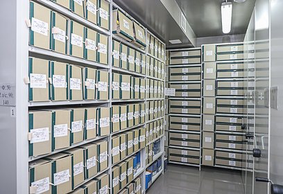 Одинцовское Управление архива пройдёт дополнительную цифровизацию