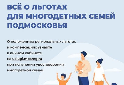 В Подмосковье заработал сервис, где рассказывают о положенных для многодетных семей льготах