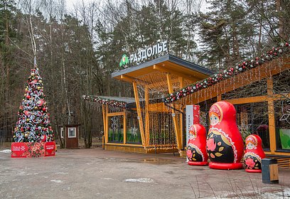 В ближайшие выходные в парке «Раздолье» откроется Зимний городок