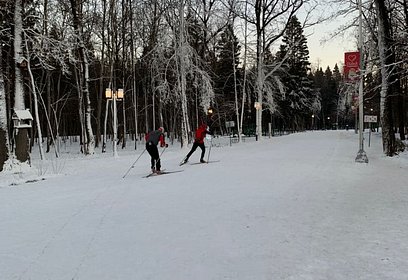 В Одинцовском парке культуры, спорта и отдыха открыта трасса на 600 метров