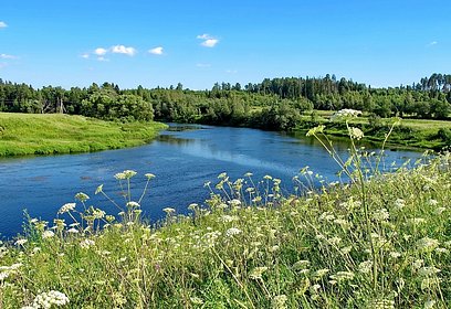 Заказник в Одинцовском округе увеличат до 432 гектаров