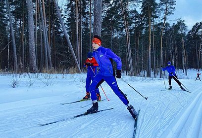 Три лыжные трассы подготовлены для посетителей в парке «Малевича»
