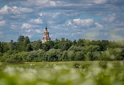Долина Москвы-реки на западе Одинцовского округа станет новым центром экологического туризма