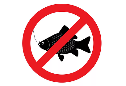 В Московской области усилены меры защиты рыбы на весенний период