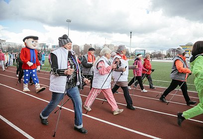 Более 300 человек приняли участие в акции «10 000 шагов к жизни» в Одинцовском округе
