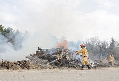 В Захарово прошли ежегодные межведомственные учения по тактике и технике тушения лесных пожаров