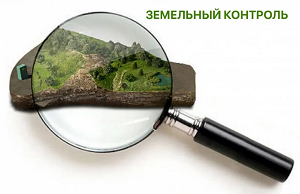 В Одинцовском округе инспекторы муниципального земельного контроля осмотрели с начала года 1621 участок