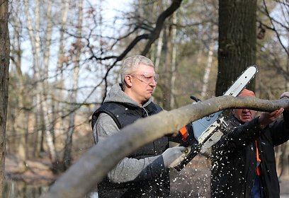 Андрей Иванов вместе с жителями привел в порядок территорию Подушкинского леса в микрорайоне Трехгорка