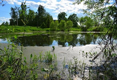 Жители Одинцовского округа смогут выбрать водоемы для включения в программу очистки