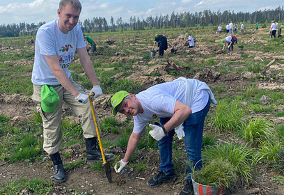 Министр ЖКХ Подмосковья принял участие в акции «Лес Победы» в Одинцовском округе