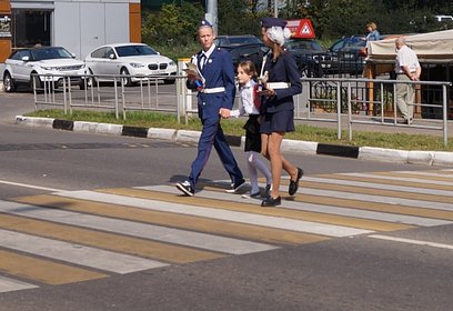 В Московской области скорость транспорта в зоне пешеходных переходов ограничена 50 км/ч