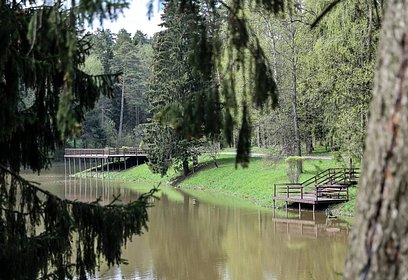В 2021 году в Одинцово в рамках региональной программы расчистят Глазынинский пруд