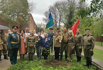 Одинцовская делегация приняла участие в акции «Лес Победы» в городе-герое Смоленске