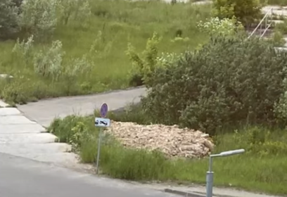 Места несанкционированного сброса мусора в Ромашково поставят под видеонаблюдение