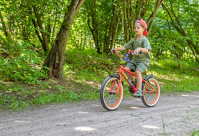 Три из семи самых длинных велодорожек Подмосковья проходят по территории Одинцовского округа