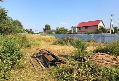 Врачи из Одинцовского округа могут получить бесплатный земельный участок