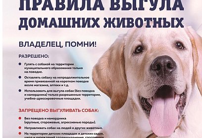 Министерство сельского хозяйства и продовольствия Московской области направляет листовку для проведения разъяснительной и просветительской работы с гражданами о правилах выгула домашних животных
