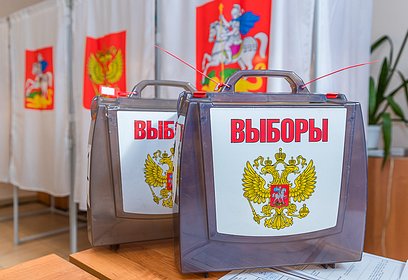 Избирательные участки в Одинцовском округе закрылись ровно в 20:00