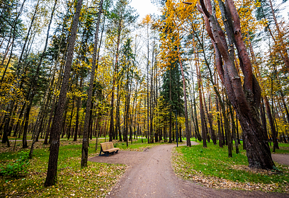 Более 3500 человек посещают парки Одинцовского округа ежедневно