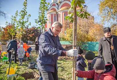 Андрей Иванов принял участие в высадке деревьев на территории Собора Георгия Победоносца в Одинцово