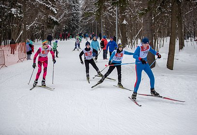 В 5 парках Одинцовского округа этой зимой будут работать оборудованные лыжные трассы