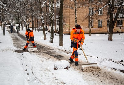 В уборке дворовых территорий в Одинцовском округе задействованы 1067 дворников
