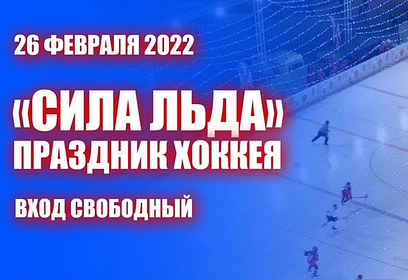 На катке Соборной площади Главного храма Вооруженных Сил России 26 февраля состоится хоккейный матч