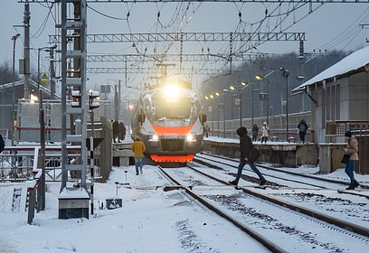 На железнодорожном перегоне «Голицыно — Одинцово» у платформы «Отрадное» погиб пешеход