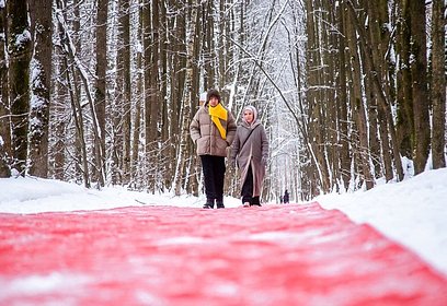В парке Малевича открылся новый культурный проект — Лэнд-арт «Белый лес»