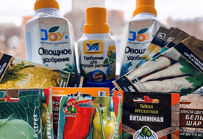Одинцовские волонтёры для помощи беженцам с Донбасса инициировали акцию «Добрый огород»