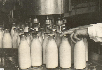Рубрика «По архивным документам»: Звенигородский молочный завод в фотографиях