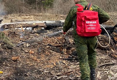 С начала года на территории Одинцовского округа возникло 2 лесных пожара