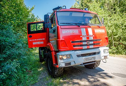 Жителям и гостям Одинцовского округа напомнили об ответственности за нарушение пожарной безопасности в лесах