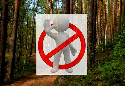 Ограничения на пребывание граждан в лесах Московской области продлятся до 1 сентября 2022 года